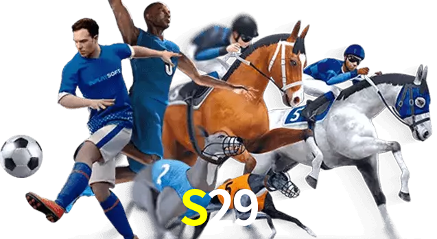 S29